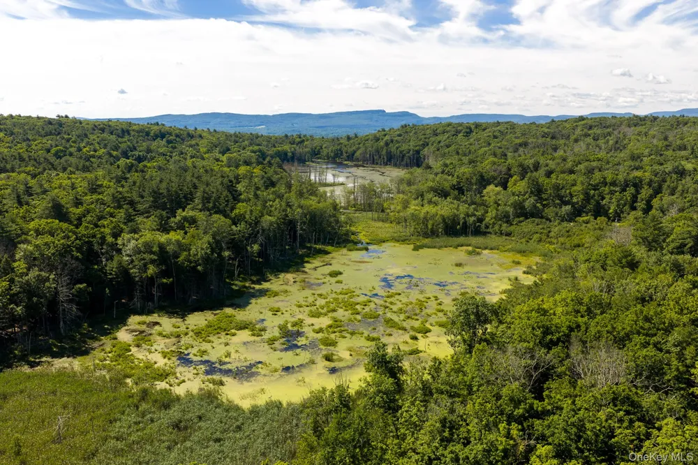 TBD Buck Road Stone Ridge, NY 12484