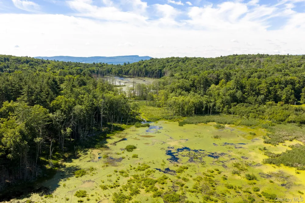TBD Buck Road Stone Ridge, NY 12484
