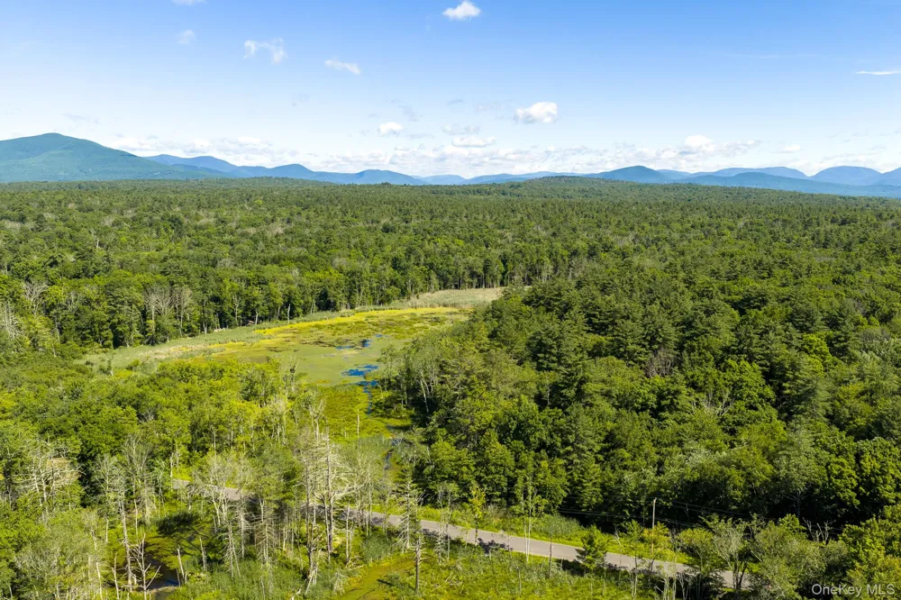 TBD Buck Road Stone Ridge, NY 12484