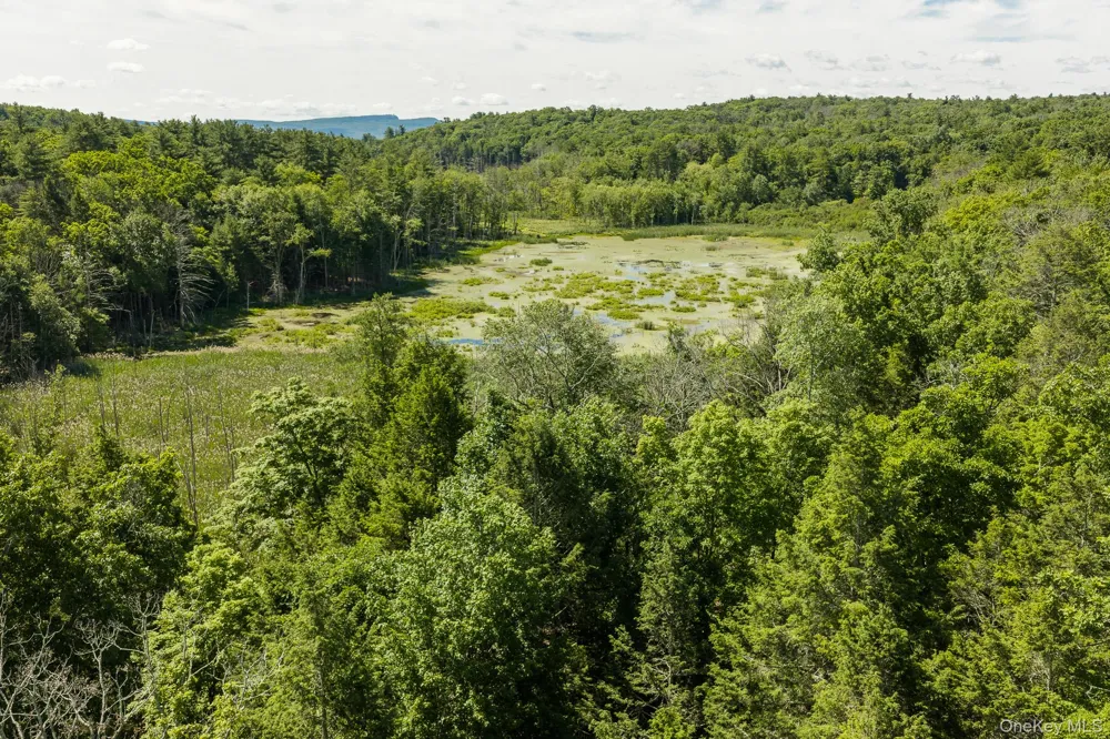 TBD Buck Road Stone Ridge, NY 12484