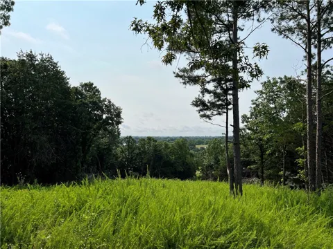 Center Loop