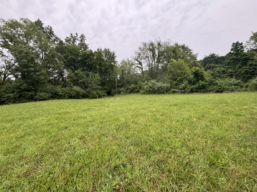 Hawkins Rd Road Jackson, MI 49201