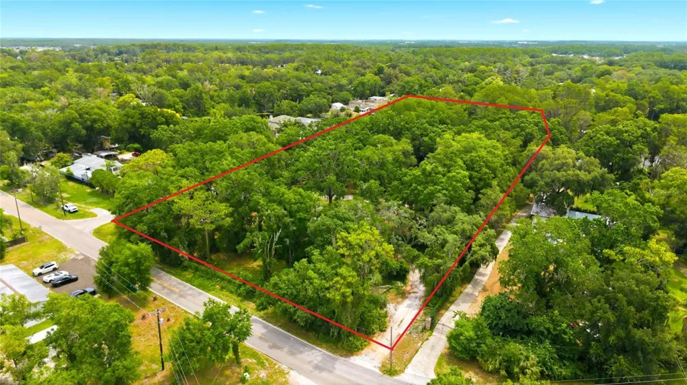 1444 CHESAPEAKE DRIVE Odessa, FL 33556