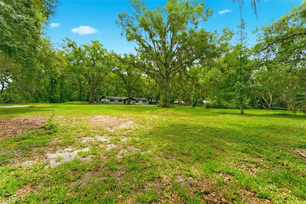 1444 CHESAPEAKE DRIVE Odessa, FL 33556