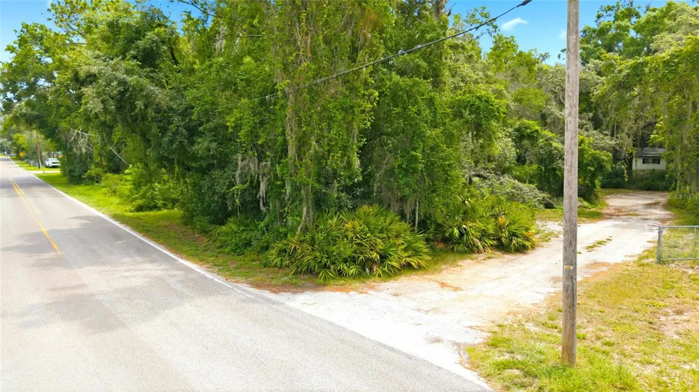 1444 CHESAPEAKE DRIVE Odessa, FL 33556