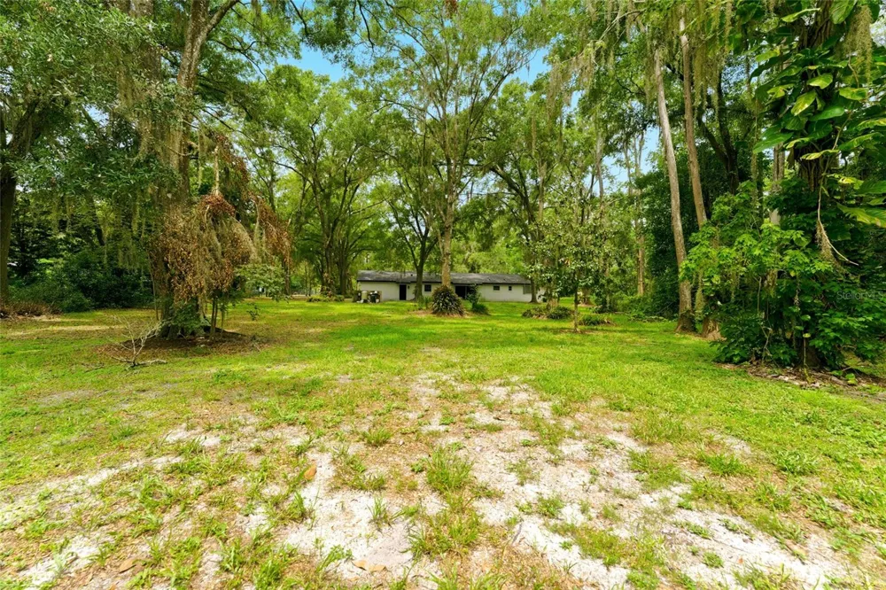 1444 CHESAPEAKE DRIVE Odessa, FL 33556