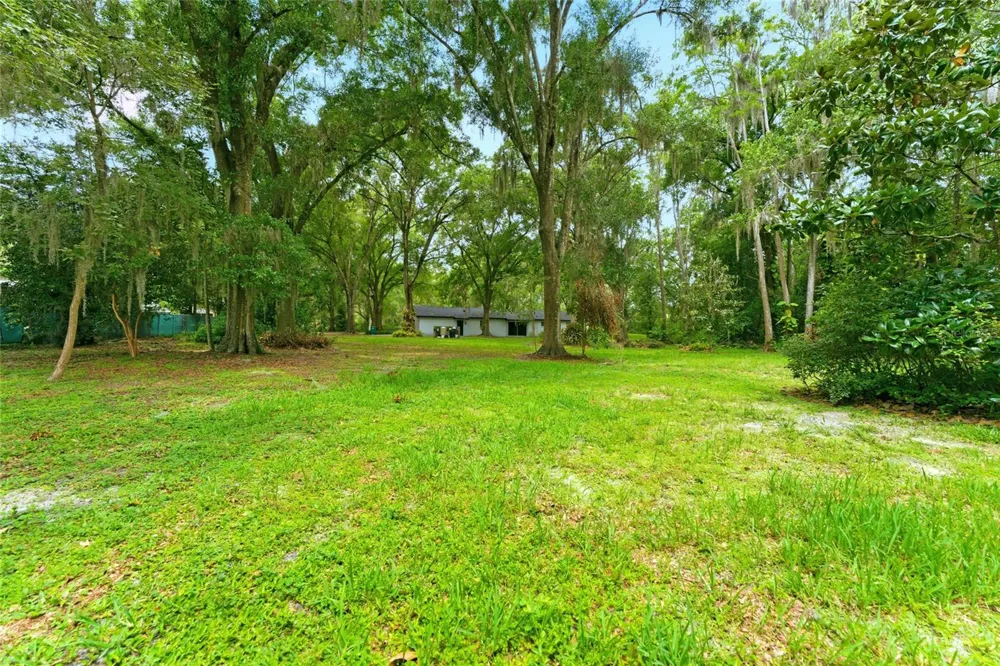 1444 CHESAPEAKE DRIVE Odessa, FL 33556