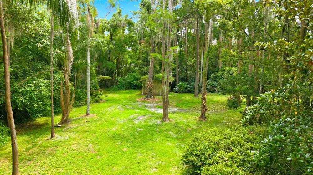 1444 CHESAPEAKE DRIVE Odessa, FL 33556