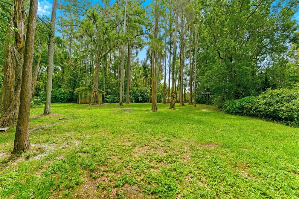 1444 CHESAPEAKE DRIVE Odessa, FL 33556