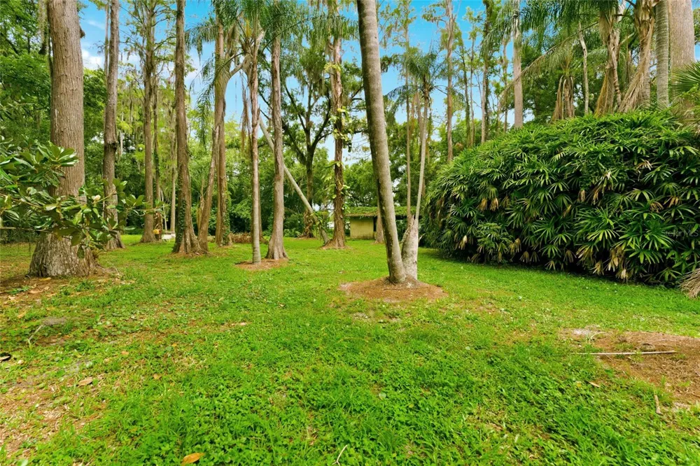 1444 CHESAPEAKE DRIVE Odessa, FL 33556