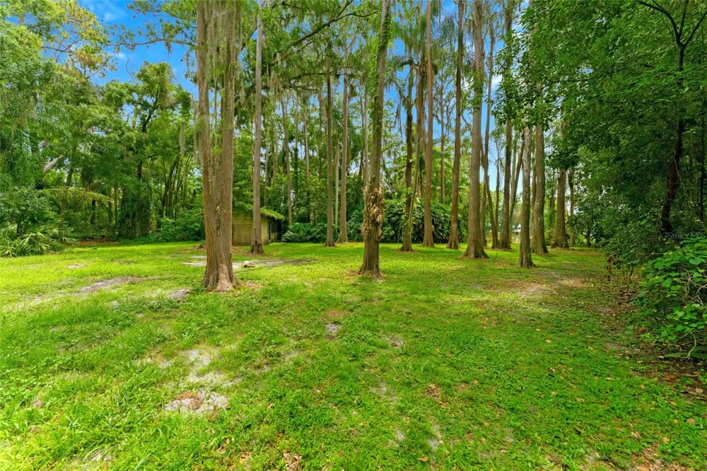 1444 CHESAPEAKE DRIVE Odessa, FL 33556