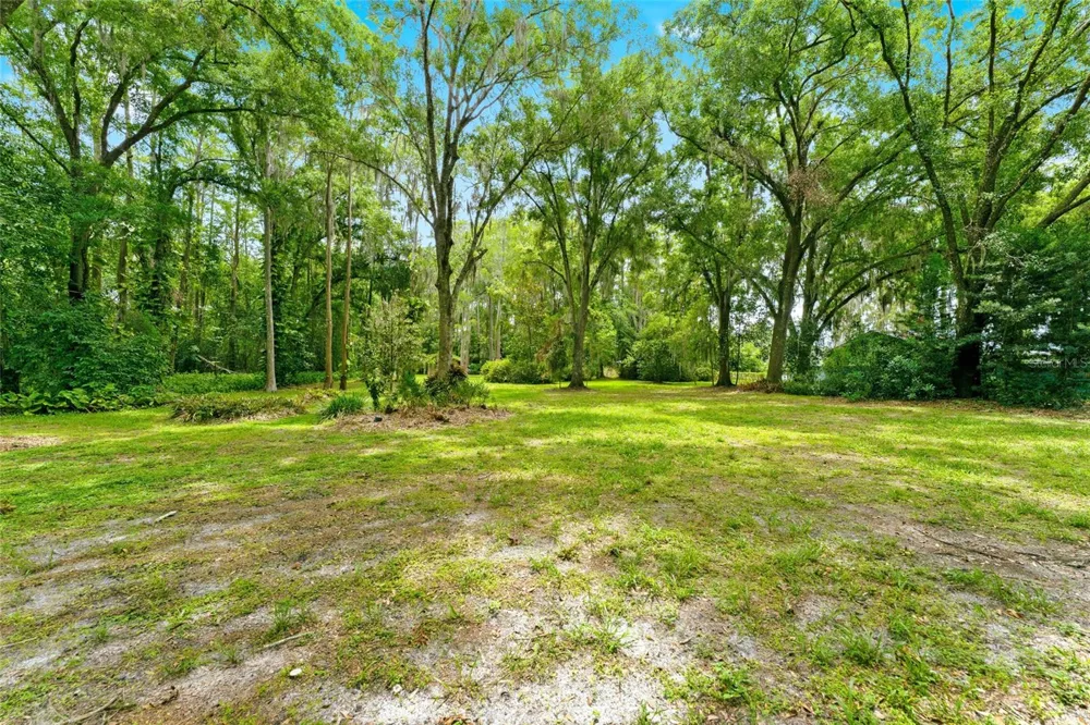 1444 CHESAPEAKE DRIVE Odessa, FL 33556