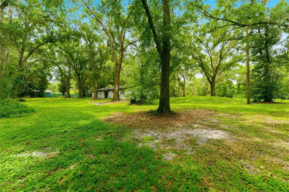 1444 CHESAPEAKE DRIVE Odessa, FL 33556