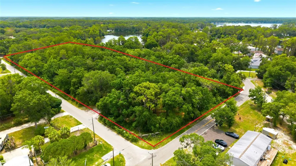 1444 CHESAPEAKE DRIVE Odessa, FL 33556