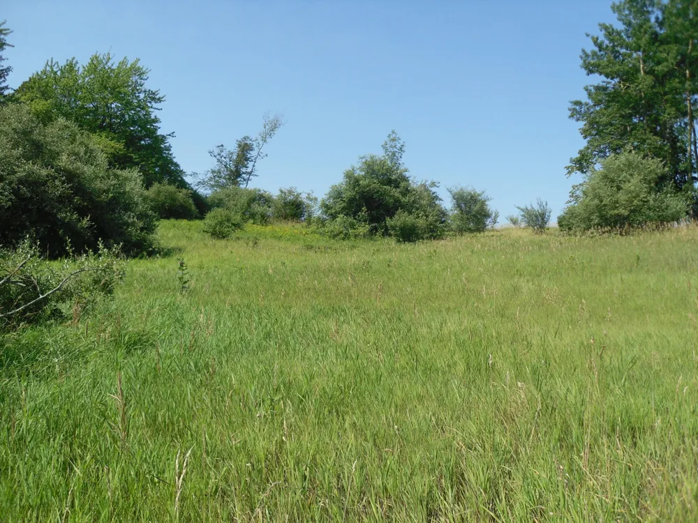 S Lakeshore Drive S Ludington, MI 49431