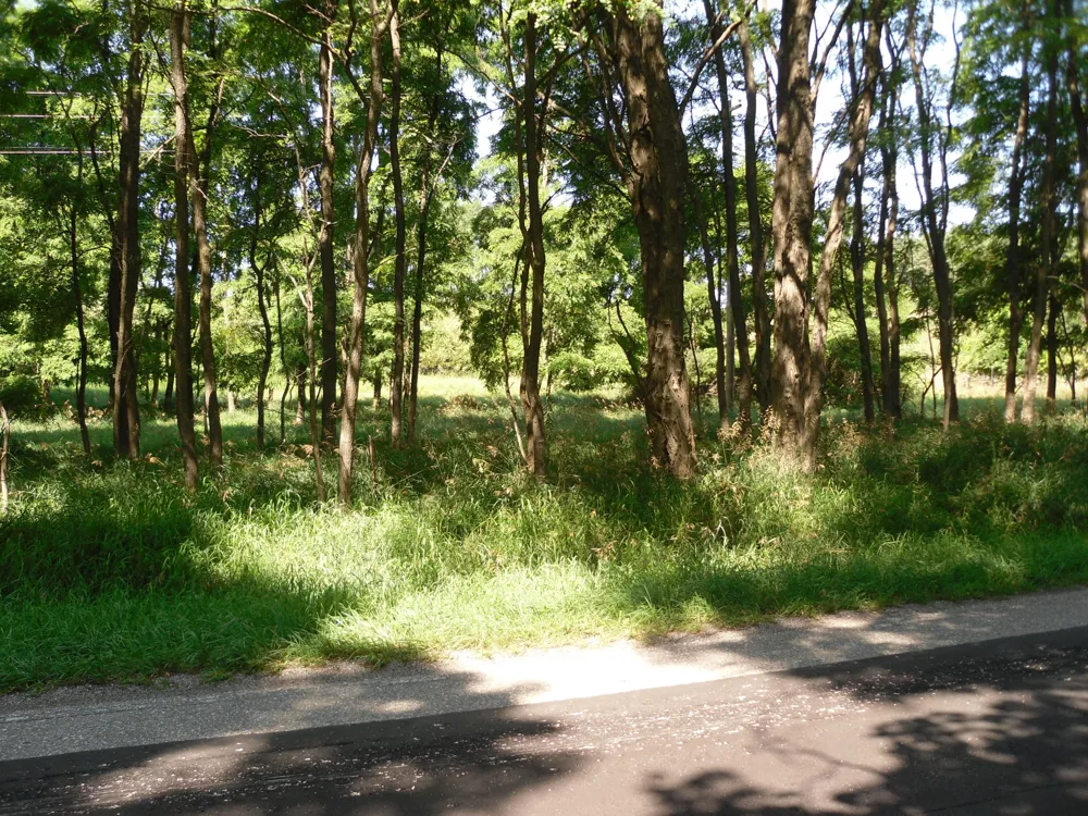 S Lakeshore Drive S Ludington, MI 49431