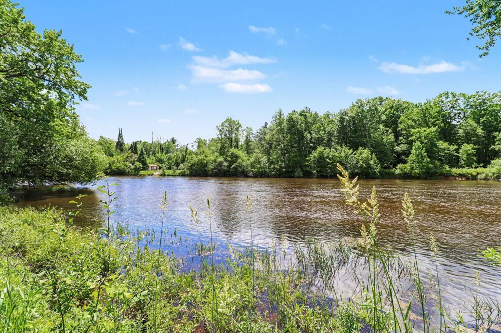 7245 River Road Evart, MI 49631