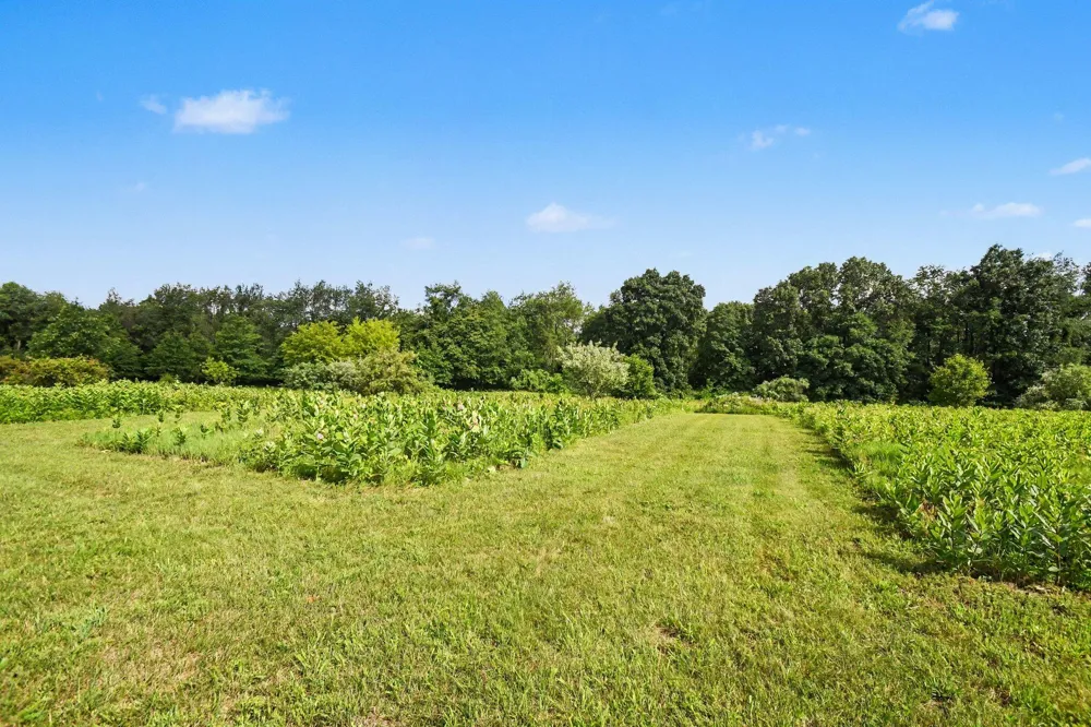 3181 Chamberlain Road Buchanan, MI 49107