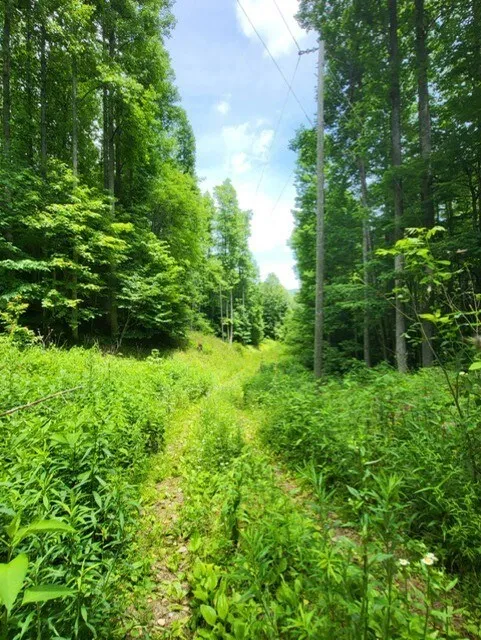 Big Bench Rd Bryson City, NC 28713