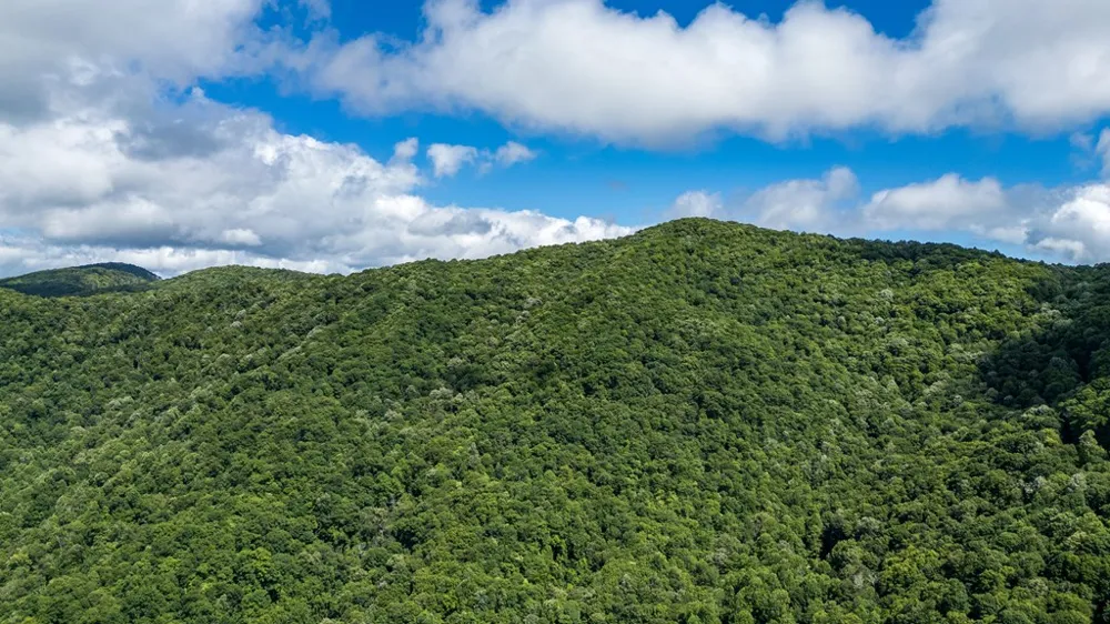 Big Bench Rd Bryson City, NC 28713