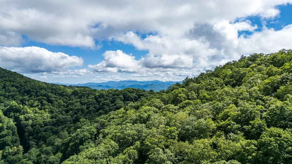 Big Bench Rd Bryson City, NC 28713
