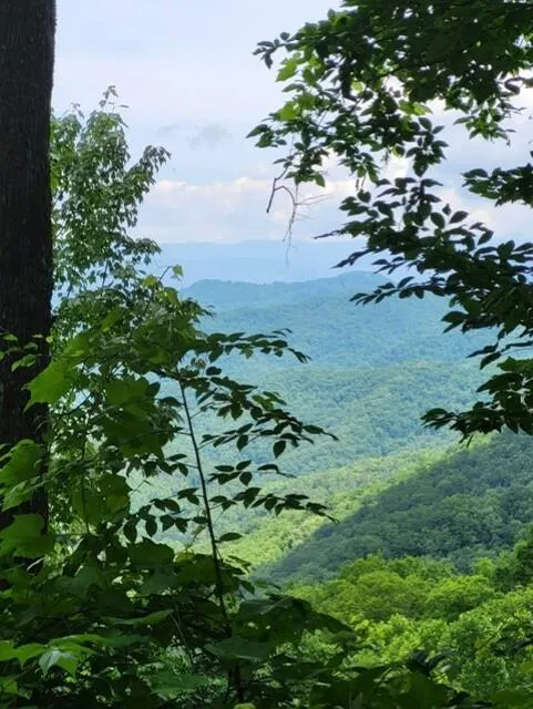 Big Bench Rd Bryson City, NC 28713