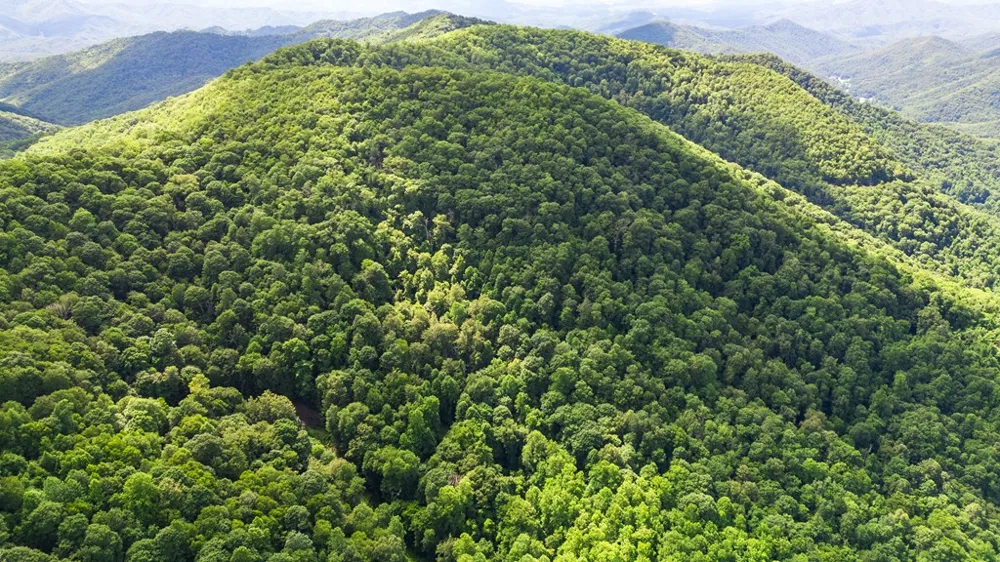 Big Bench Rd Bryson City, NC 28713