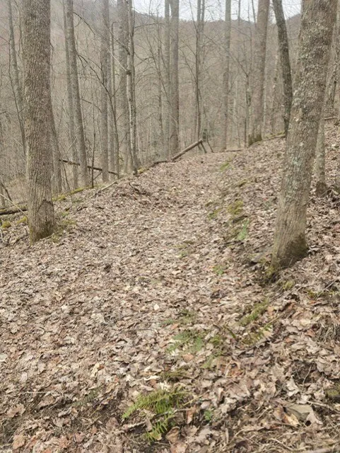 Big Bench Rd Bryson City, NC 28713