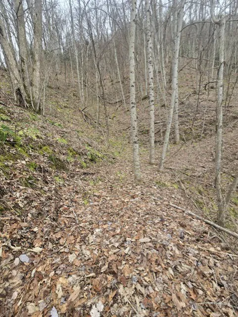 Big Bench Rd Bryson City, NC 28713