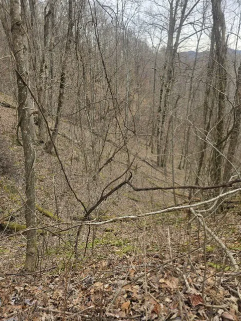 Big Bench Rd Bryson City, NC 28713