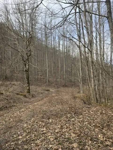 Big Bench Rd Bryson City, NC 28713