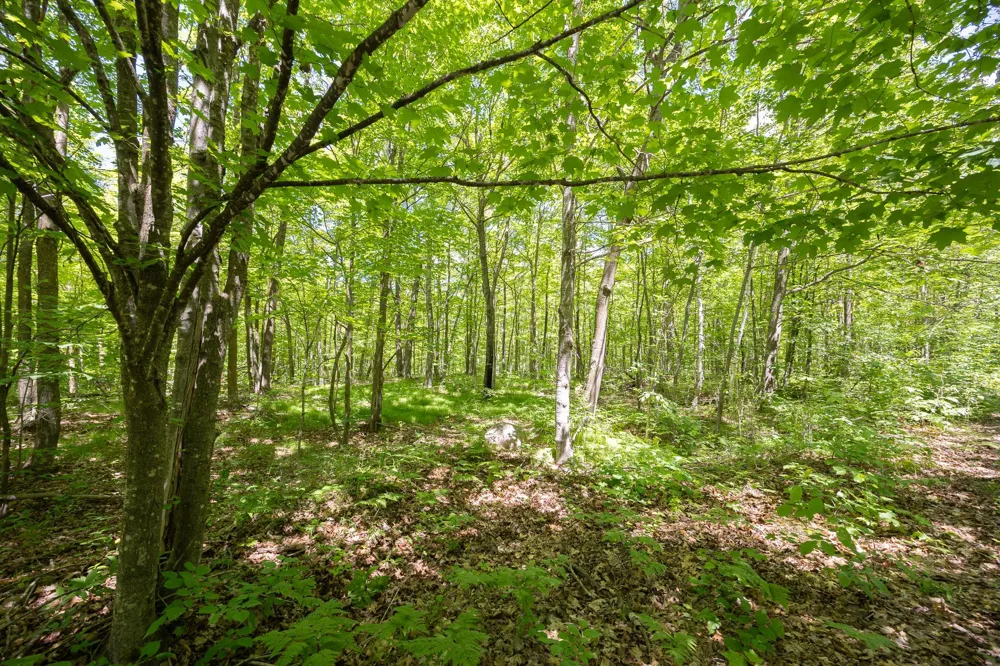 TBD Island View Drive NE Longville, MN 56655
