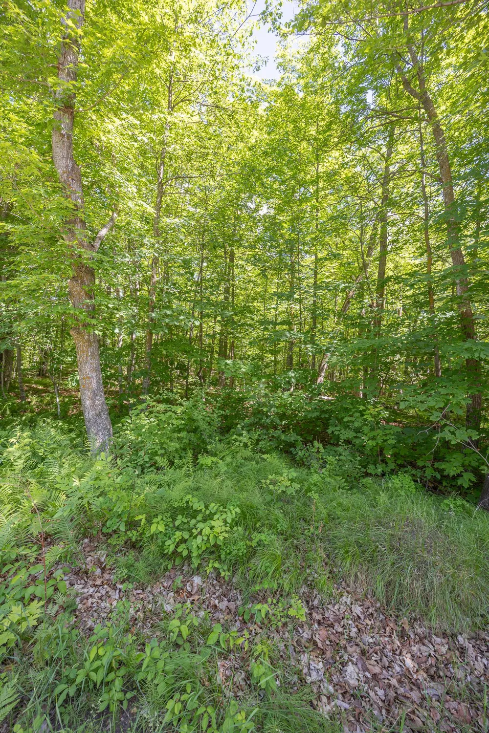 TBD Island View Drive NE Longville, MN 56655