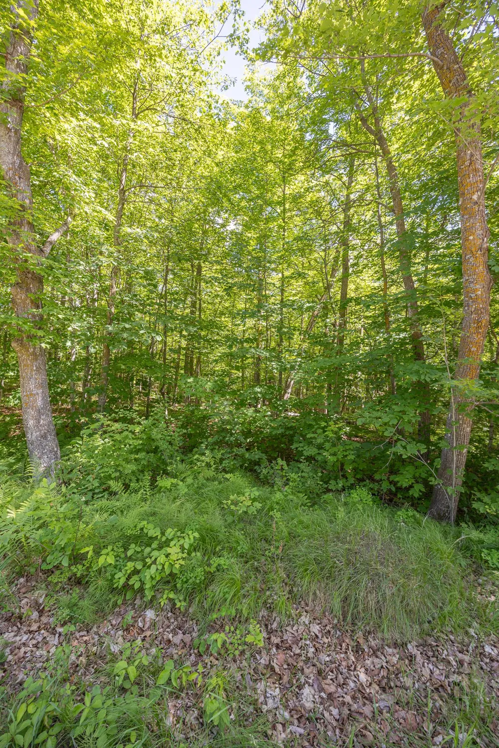 TBD Island View Drive NE Longville, MN 56655