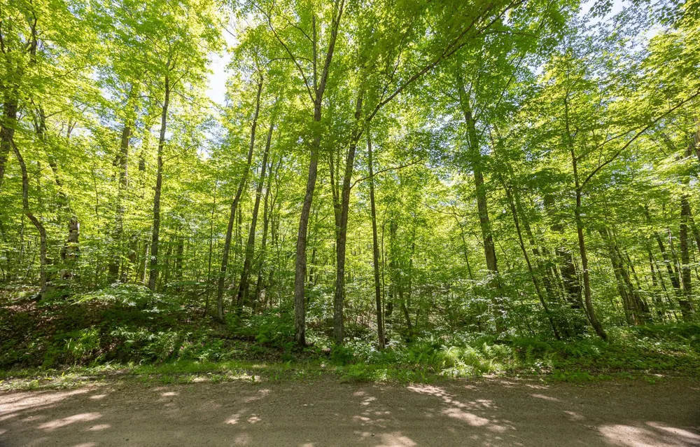 TBD Island View Drive NE Longville, MN 56655