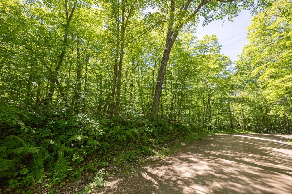 TBD Island View Drive NE Longville, MN 56655