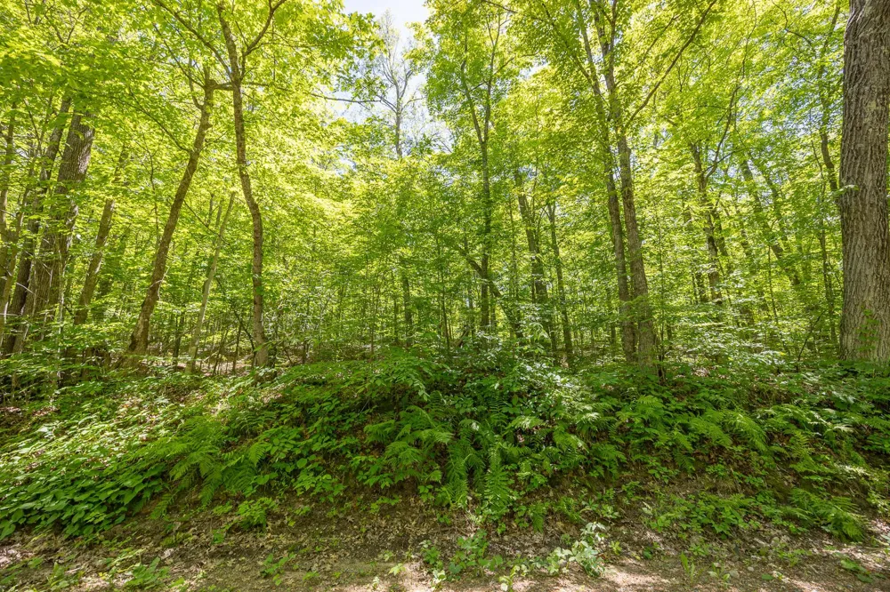 TBD Island View Drive NE Longville, MN 56655