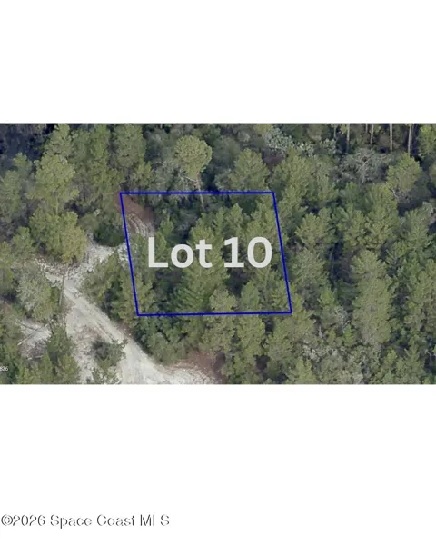 Unknown - Lot 10