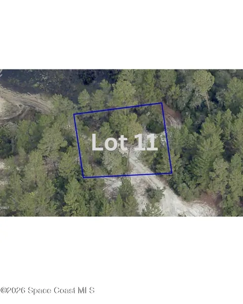Unknown - Lot 11