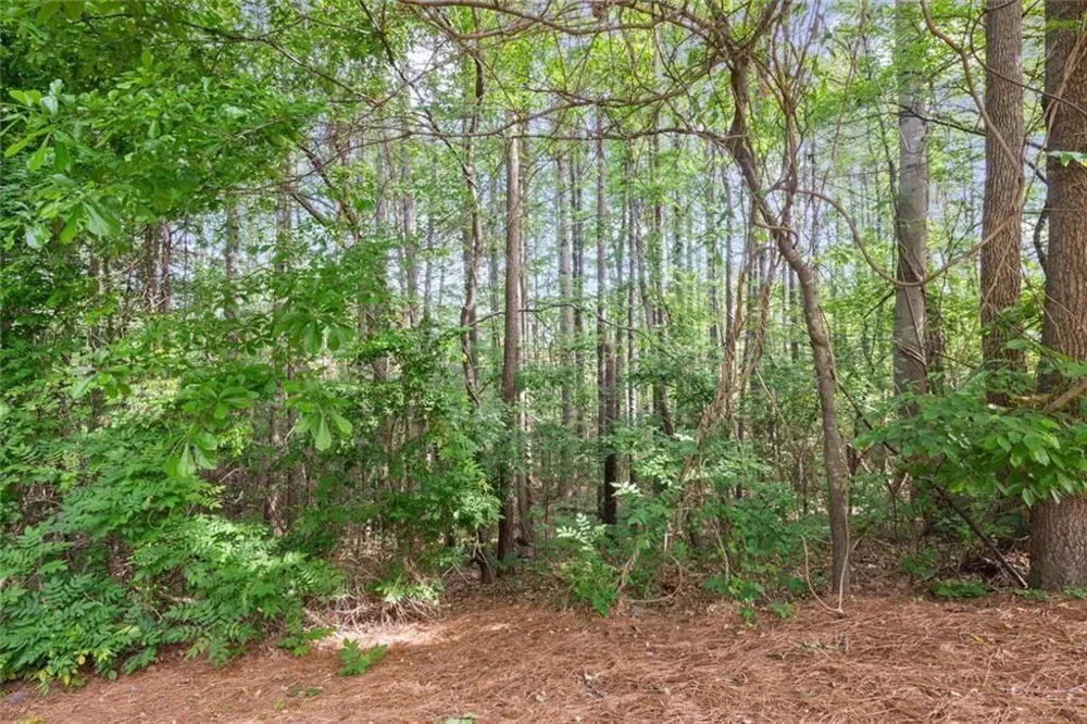 138 Bellehaven Drive Woodstock, GA 30188