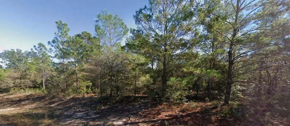 COLMART DRIVE Chipley, FL 32428