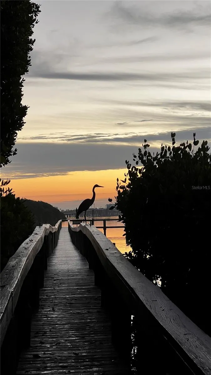 3705 E BAY DRIVE #103 Bradenton Beach, FL 34217