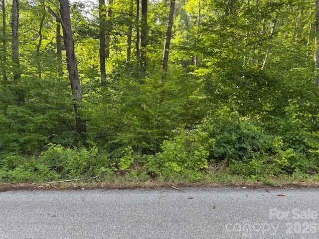 0 Lockhart Drive Landrum, SC 29356