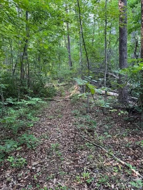 0 Lockhart Drive Landrum, SC 29356