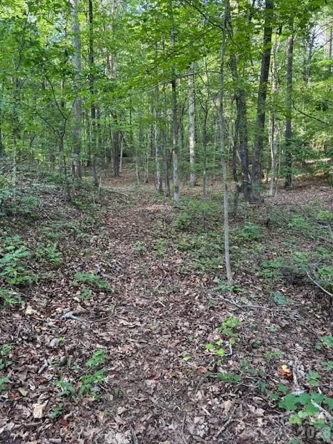 0 Lockhart Drive Landrum, SC 29356