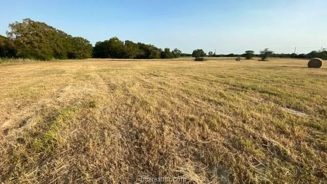 1290 Gun Range Road Somerville, TX 77879