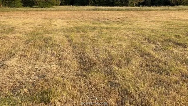 1290 Gun Range Road Somerville, TX 77879