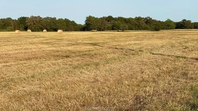 1290 Gun Range Road Somerville, TX 77879
