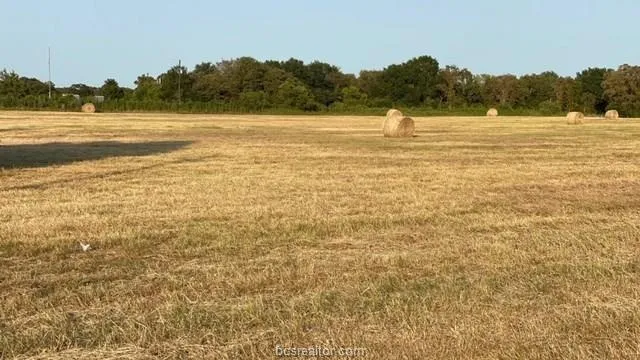 1290 Gun Range Road Somerville, TX 77879