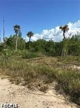 GAME BIRD LANE Bokeelia, FL 33922